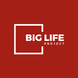 Big Life Project