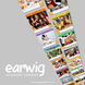 Earwig