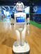 Humanoid Robot